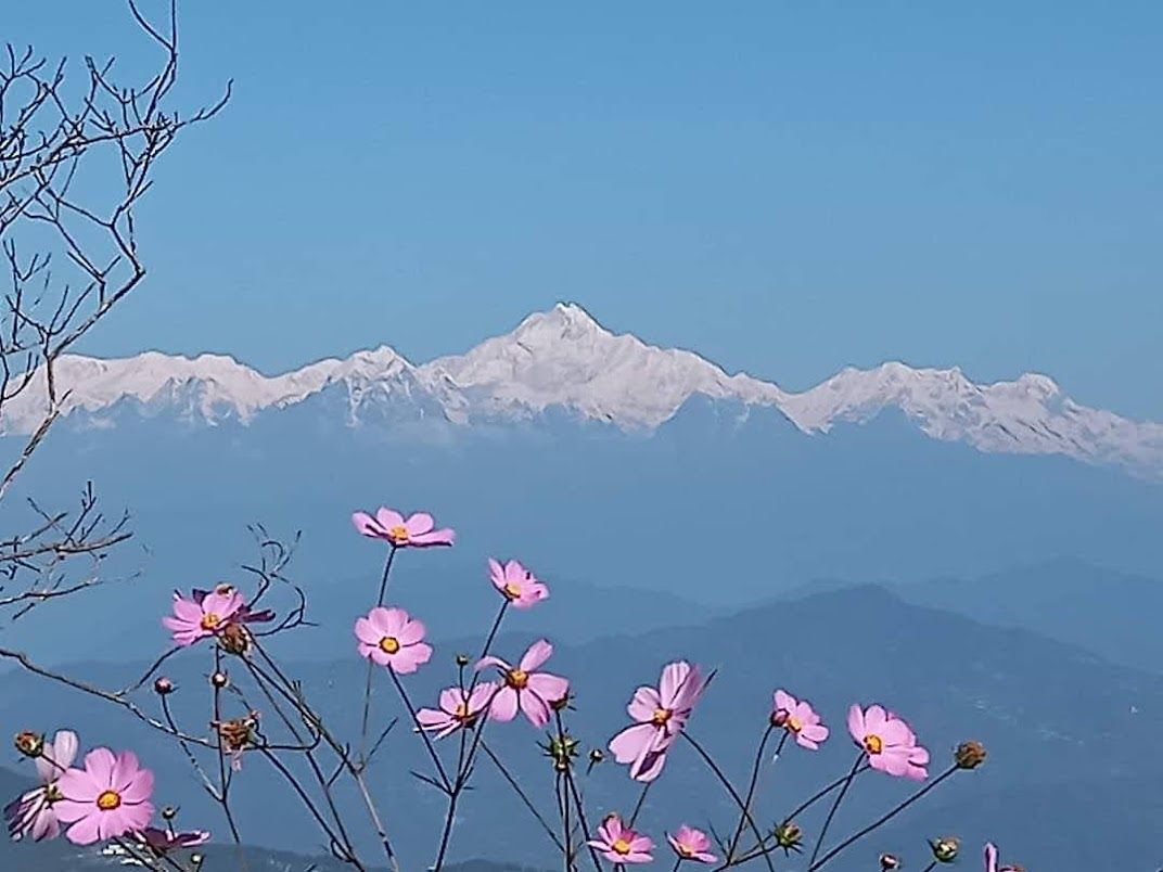 আপনার পরবর্তি ঠিকানা হোক kalimpong জেলার ছোট্ট পাহাড়ি গ্রাম Samthar