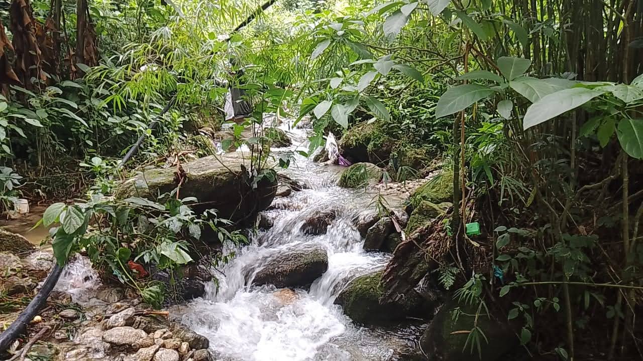 আপনার পরবর্তি ঠিকানা হোক kalimpong জেলার ছোট্ট পাহাড়ি গ্রাম Samthar