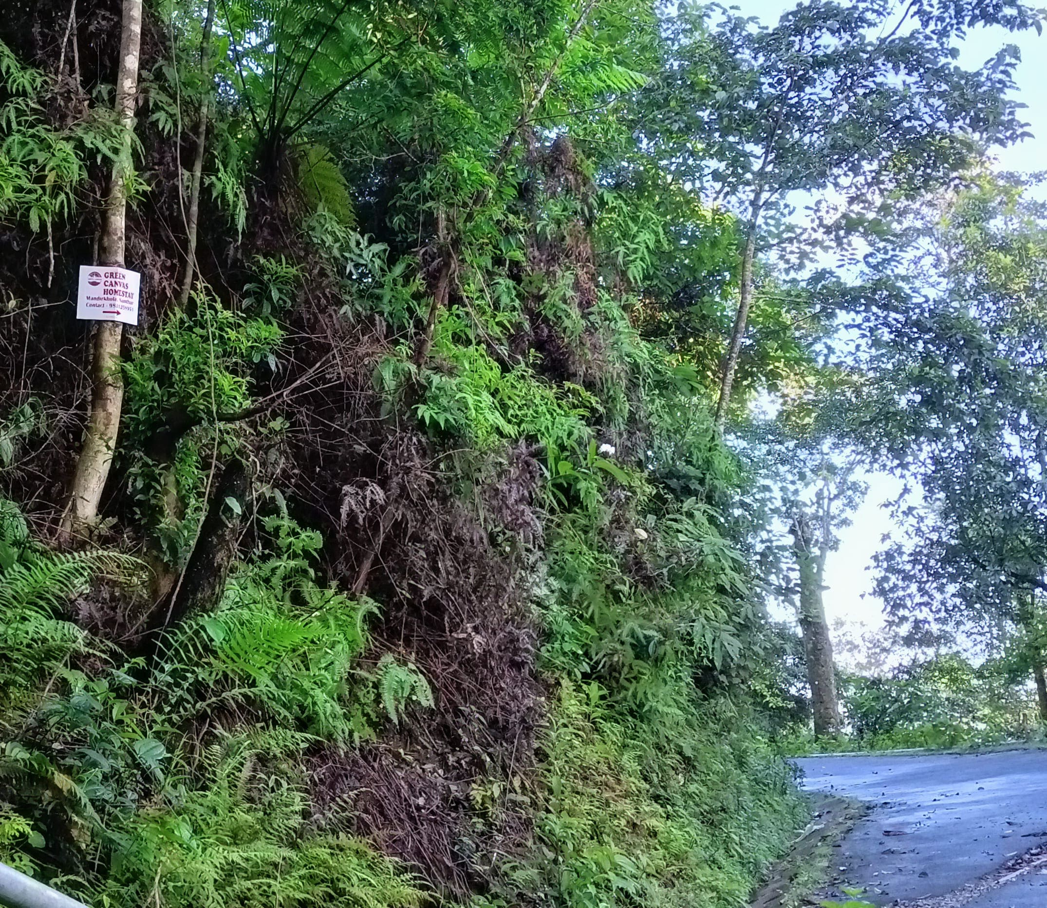 আপনার পরবর্তি ঠিকানা হোক kalimpong জেলার ছোট্ট পাহাড়ি গ্রাম Samthar