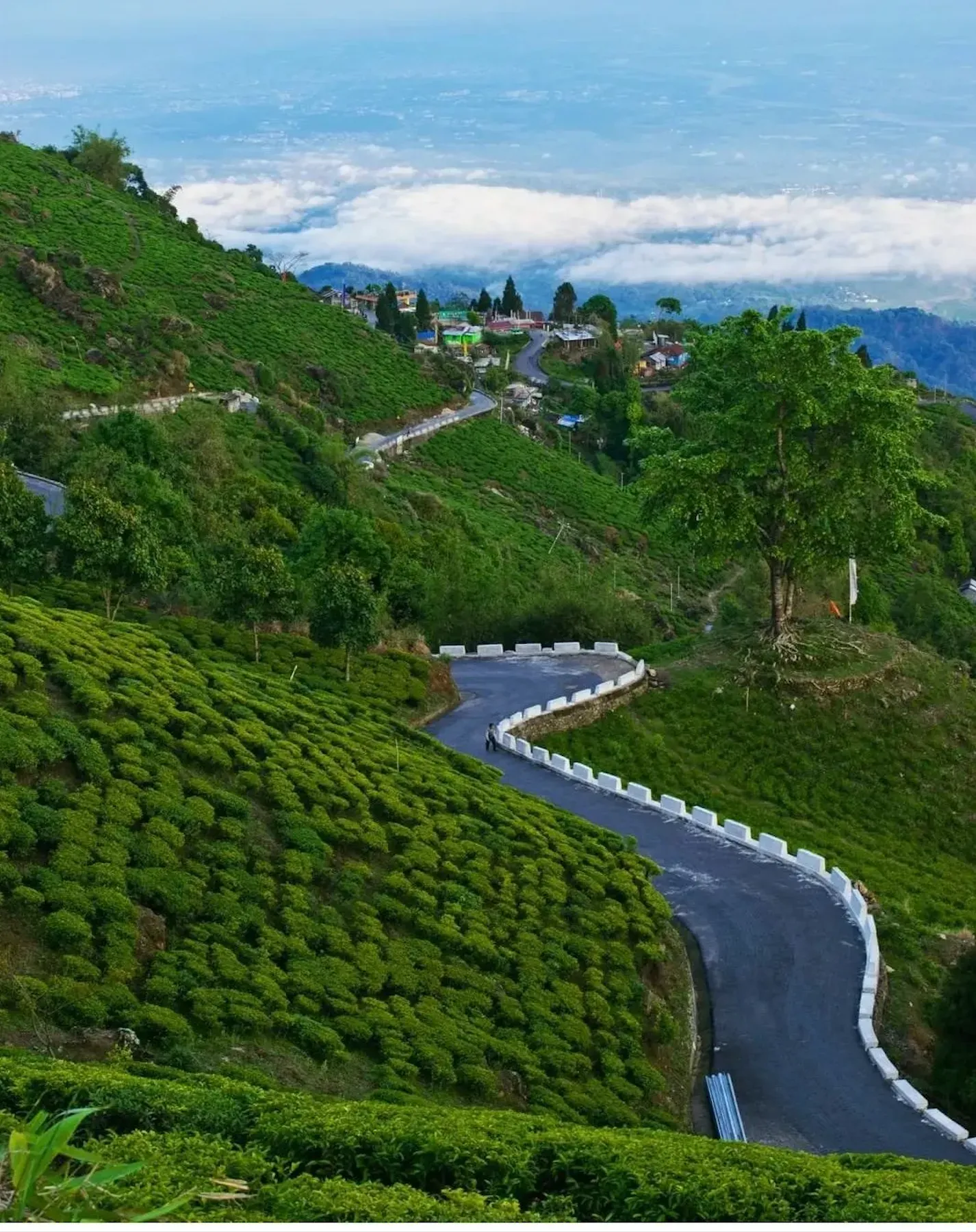 This is Samthar plateau, a highland of virgin forests, monasteries and uninterrupted views of the Darjeeling Himalayan mountains.Explore untouched Hinterlands of Kalimpong. Explore untouched Hinterlands of Kalimpong. Green Canvas Retreat in Samthar travel, staycation in north bengal, Kalimpong travel, Himalayas  